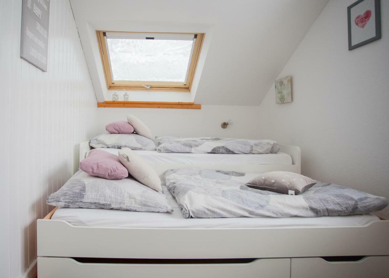 ヴィンターベルクWohlfuehloase Am Bikepark Und Skigebiet, 2 Schlafzimmer, Abschliessbarer Fahrradkellerアパートメント エクステリア 写真